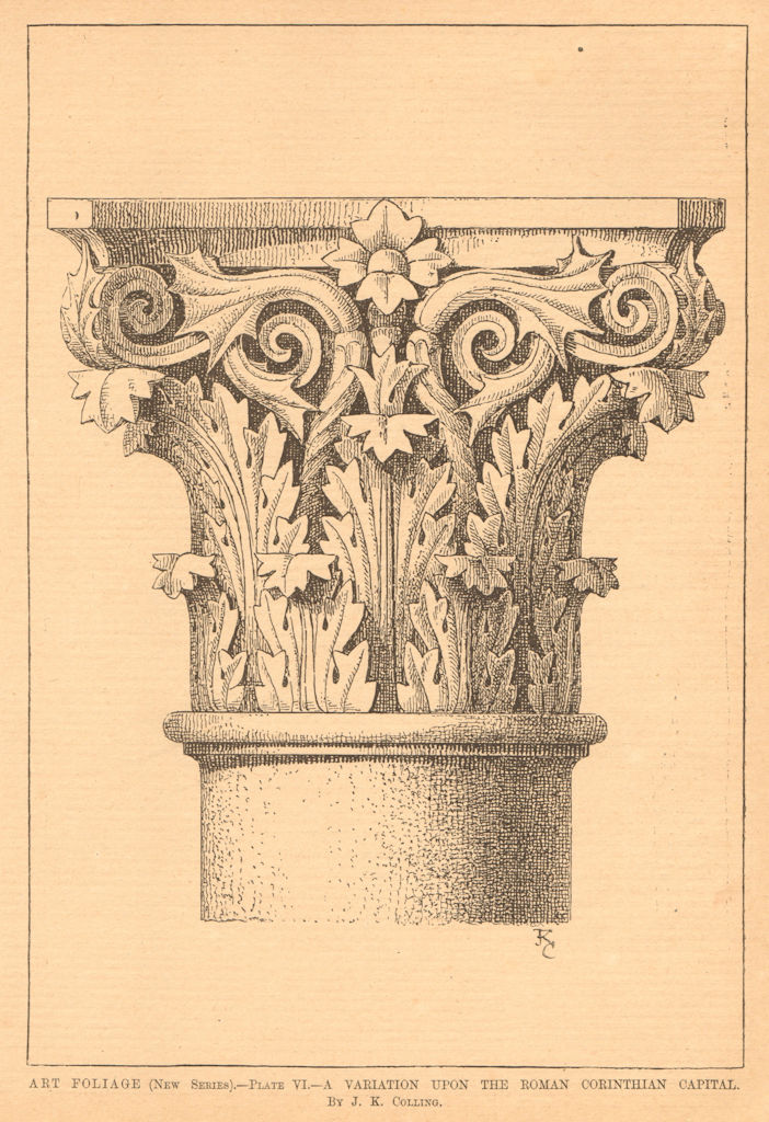 Art Foliage Plate 6. Roman Corinthian capital variation by JK Colling 1901