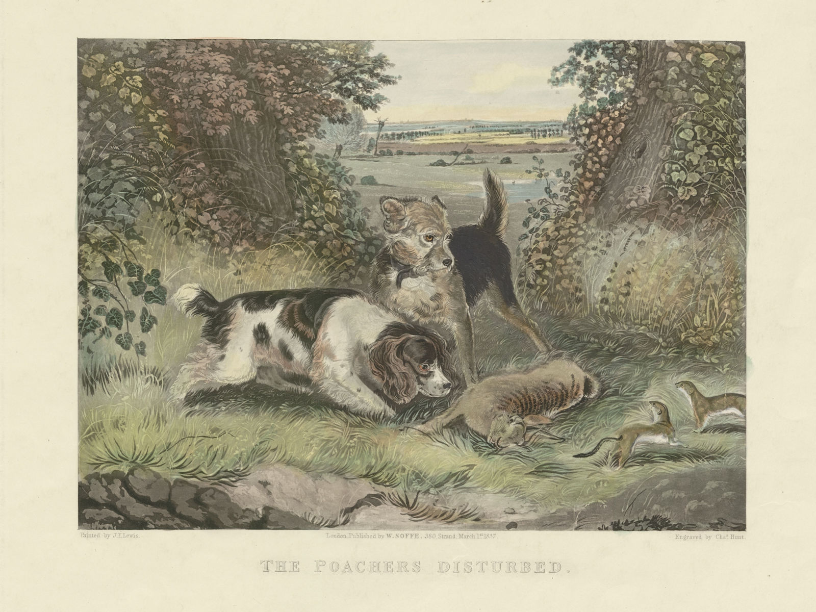 "The poachers disturbed", by J.F.Lewis. Soffe. Dogs, rabbit & stoat 1837 print