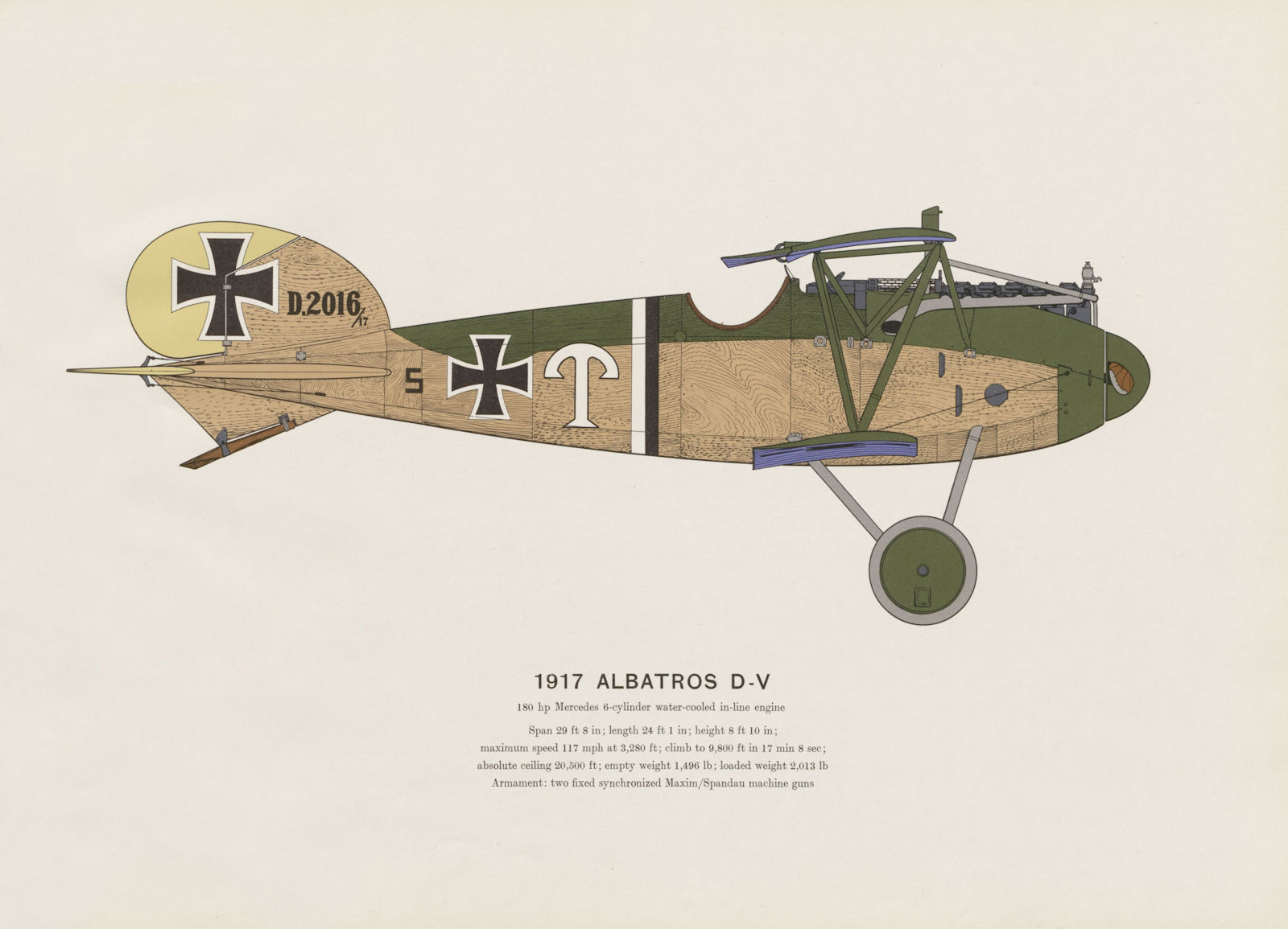Albatros D-V (1917) vintage aeroplane print by Roy Cross. Germany 1962