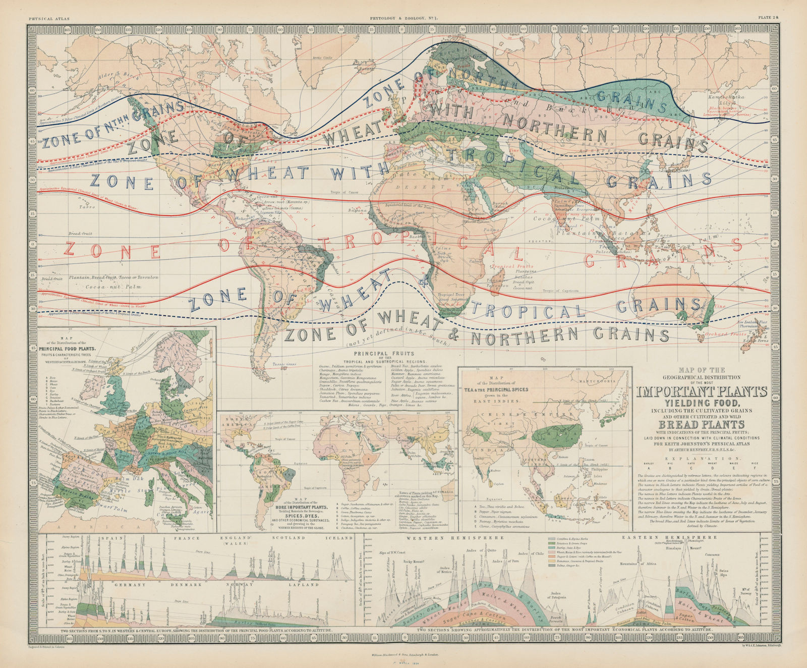World crop / food distribution. Grains & bread plants. JOHNSTON 1856 old map