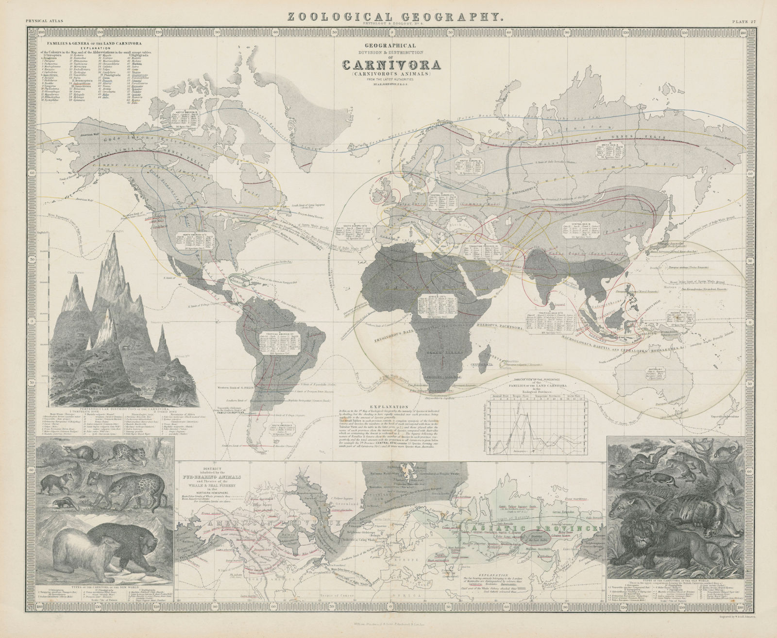 Zoological Geography. Carnivora (Carnivorous Animals) distribution 1856 map