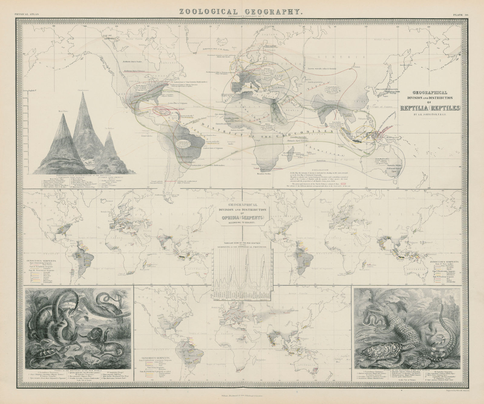 Zoological Geography. Reptile & Ophidia (Serpents/snakes) distribution 1856 map