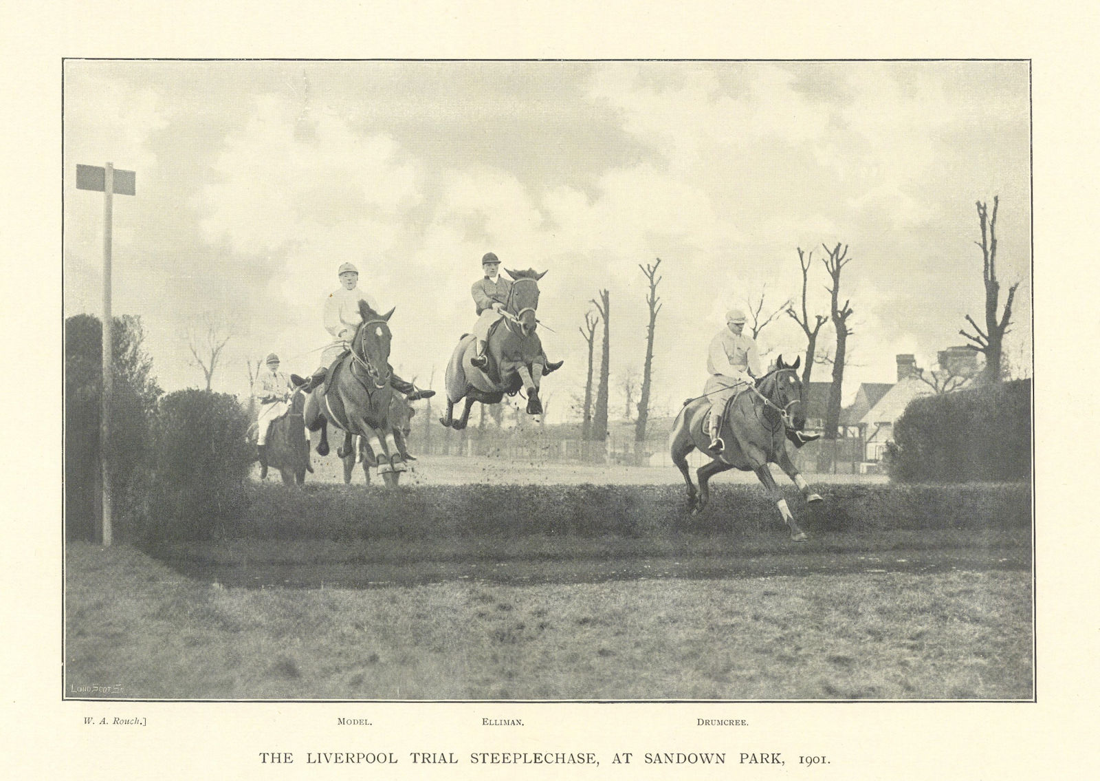 Liverpool Trial Steeplechase at Sandown Park, 1901. Model Elliman Drumcree 1903
