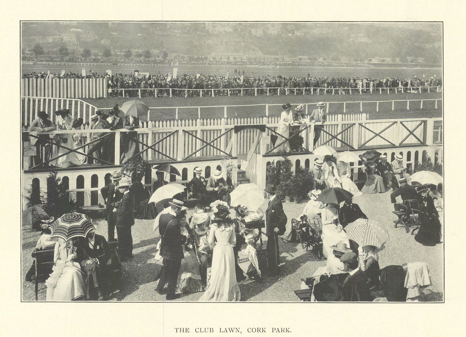 The Club Lawn, Cork Park race course, Ireland 1903 old antique print picture