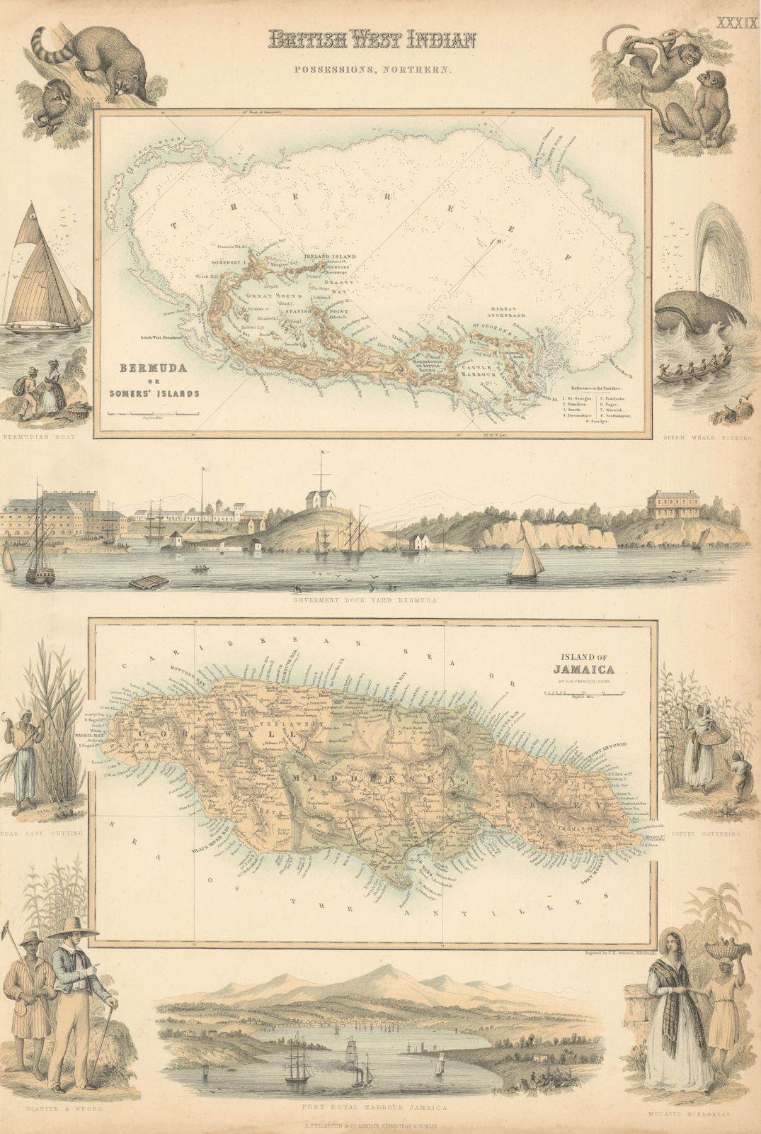 British West Indian Possessions. Bermuda or Somers' Island. Jamaica c1863 map