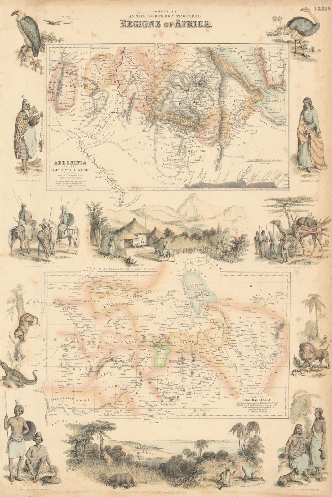 Northern Tropical Regions in Africa. Abyssinia. Lake Chad. Nigeria c1863 map