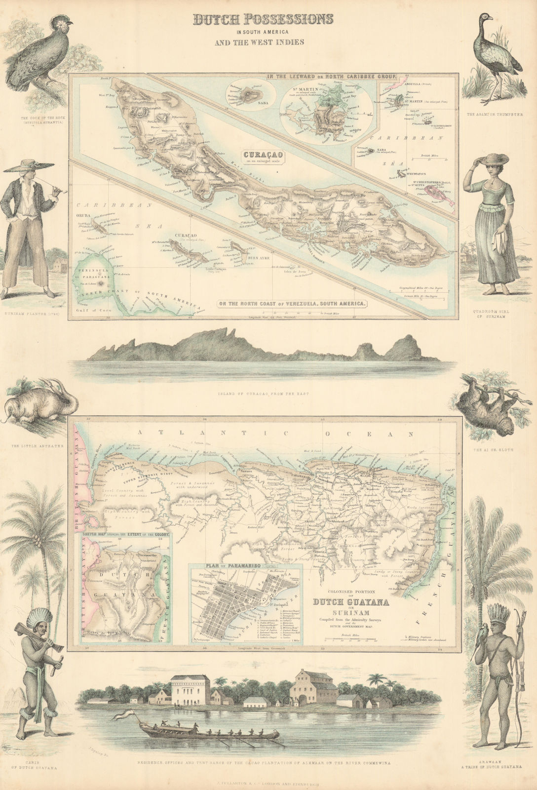 Dutch West Indies & South America. Curaçao Guyana Surinam St. Martin c1863 map