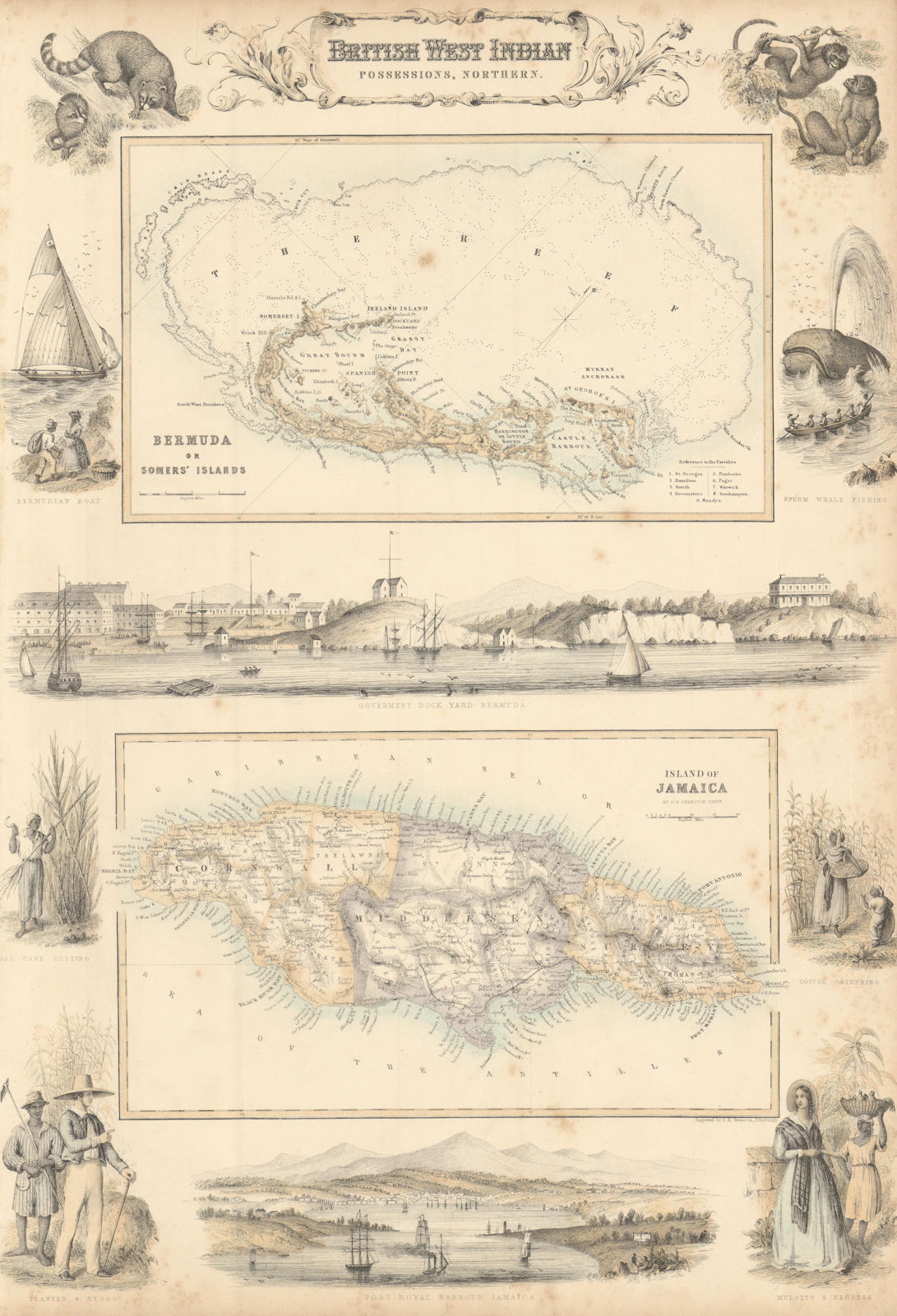 British West Indian Possessions. Bermuda or Somers' Island. Jamaica c1863 map