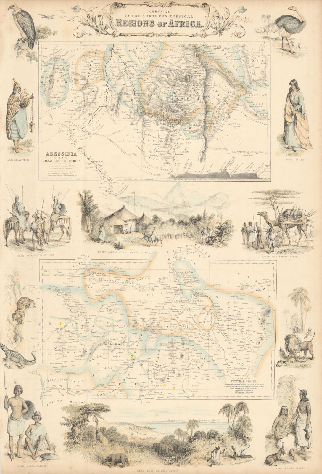 Northern Tropical Regions in Africa. Abyssinia. Lake Chad. Nigeria c1863 map