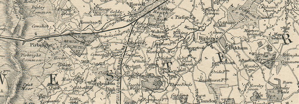 SURREY. Chertsey Guildford Dorking. County map. Railways. BR DAVIES 1863